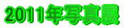 2011�N�ʐ^�W